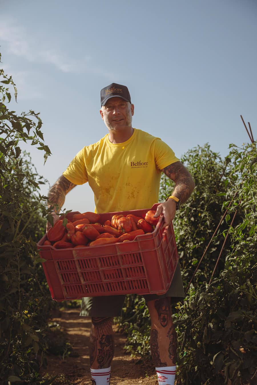 Tomaten und Olivenbauern Agenzia Agricola Belfiore in Loreto Aprutino Marco Ortolani und sein Team in Abruzzo, Italien Pastamanufaktur und Tomatenbauern in Abruzzen
