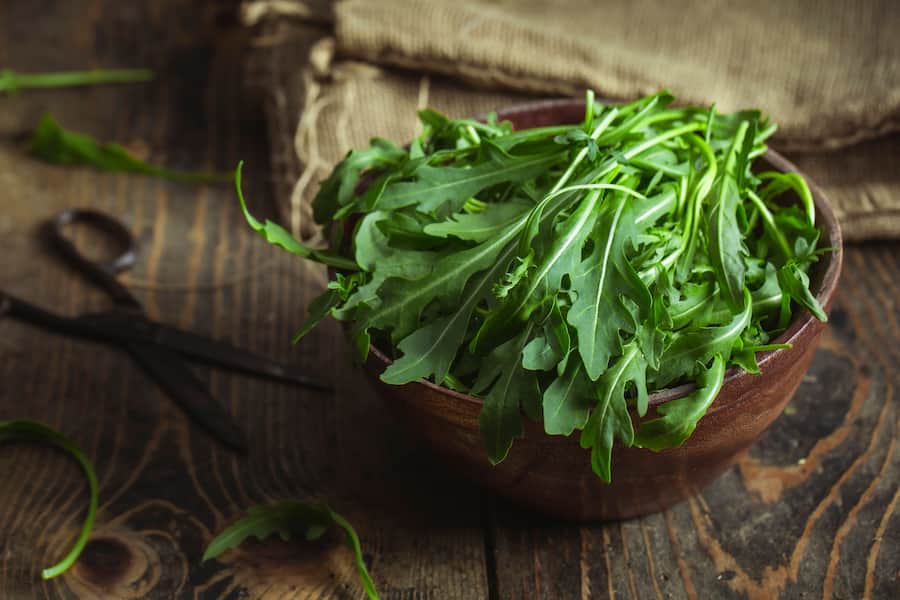 Rucola