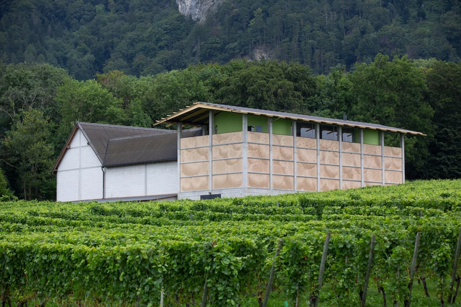 Das Weingut Gantenbein in Fläsch zählt zu den renommiertesten Adressen der Schweizer Weinszene.