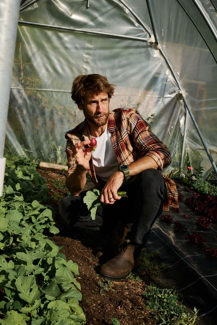 Initiator des Projekts «Hauser Garden»: Hannes Mark, der Ehemann von Nina Hauser.