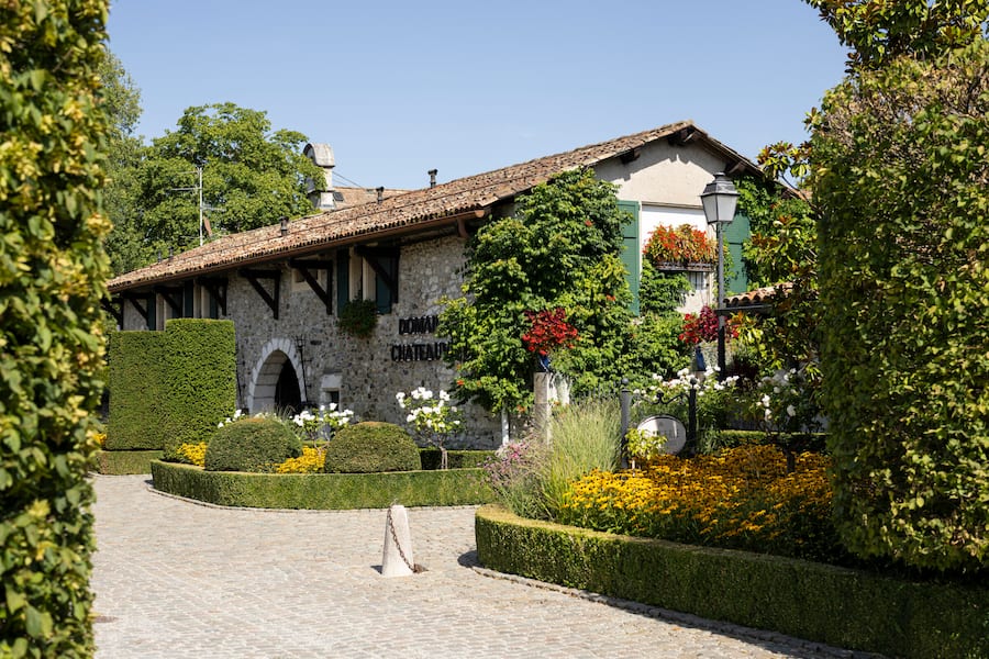 Domaine de Châteauvieux. Satigny, Genève, Août 2023 © Fred Merz | Lundi13