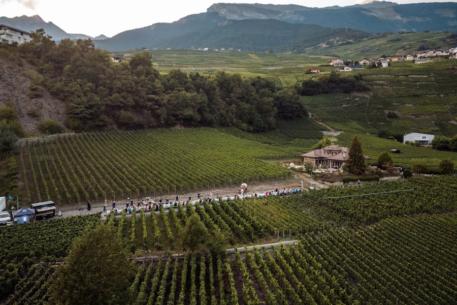 Swiss Wine Tavolata, Wallis, VSÂ