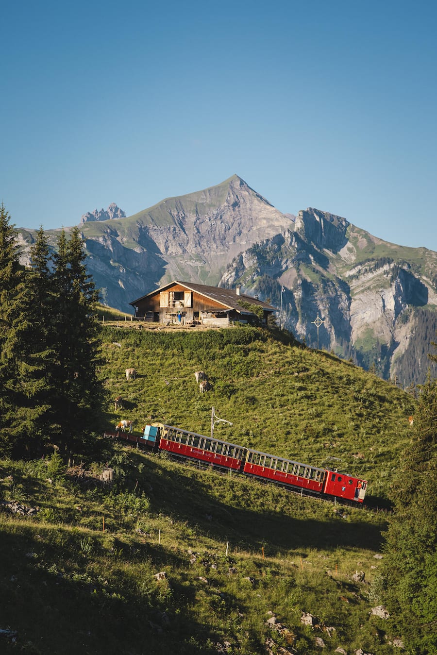Alp Breitlauenen, Schynige Platte, BE
