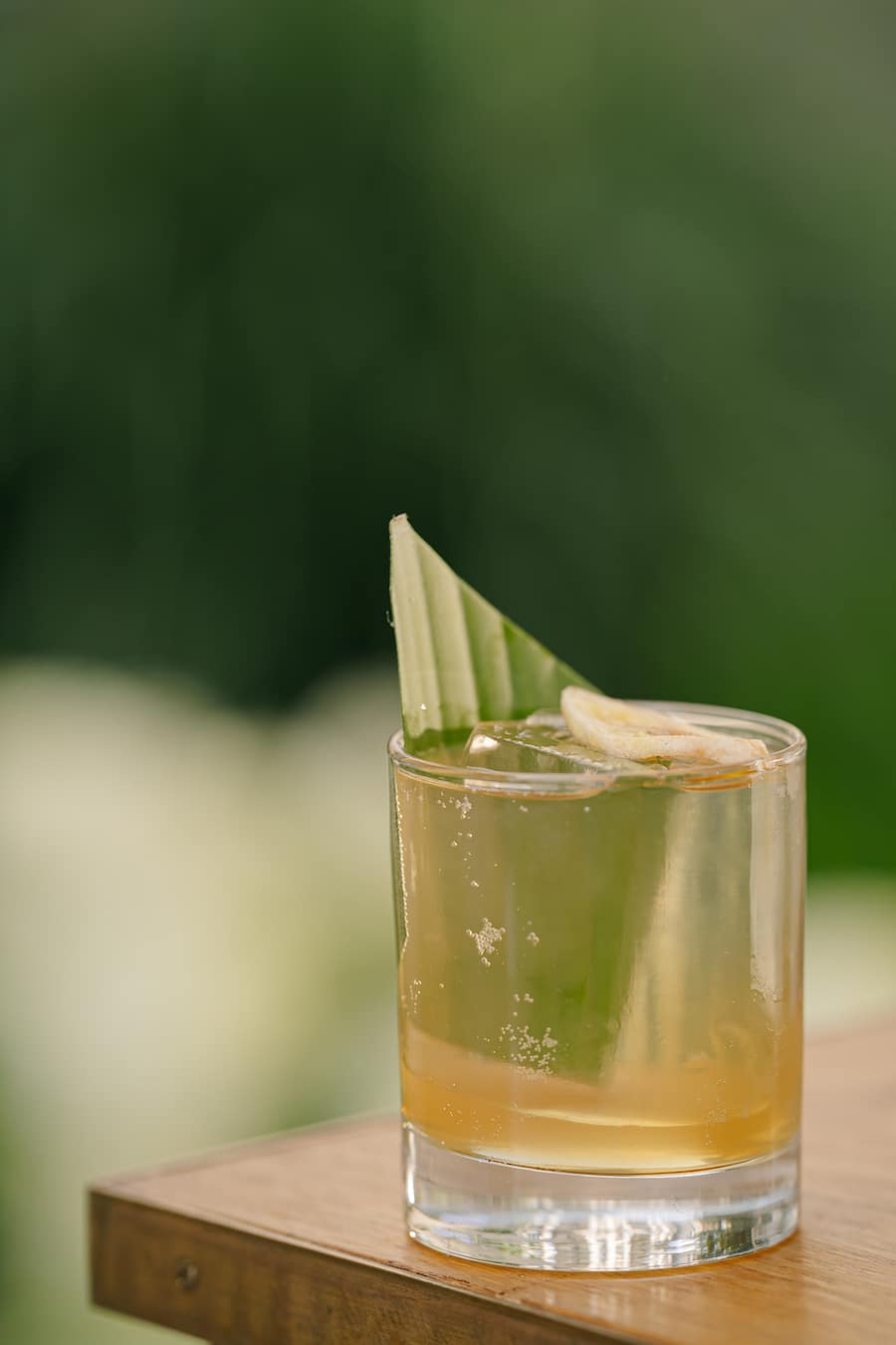 Bananamera, Canvas Bar - GaultMillau Garden Party 2026 - Grand Resort Bad Ragaz - 9. August 2026 - Copyright Olivia Pulver