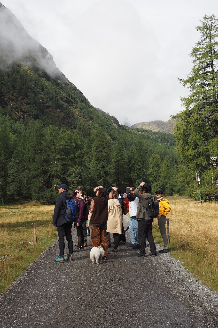 Fire, Nature & Fine Dining im Val Bever