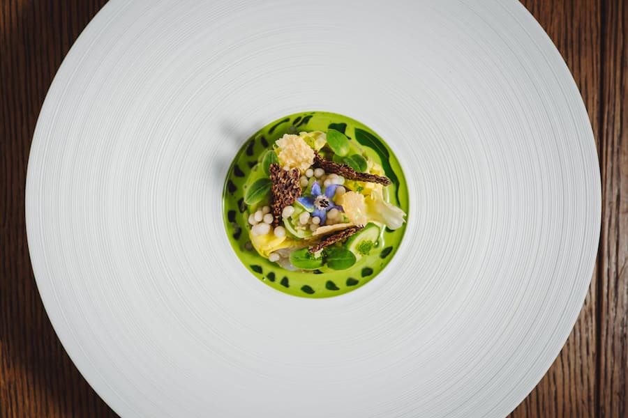 Spencer Gulf Kingfish, Meeresfrüchte, Gurke, Dill, Leinsamen - Stefan Heilemann, Chefkoch, Widder Hotel Zürich - Dienstag, 9.6.2020 - Copyright Olivia Pulver