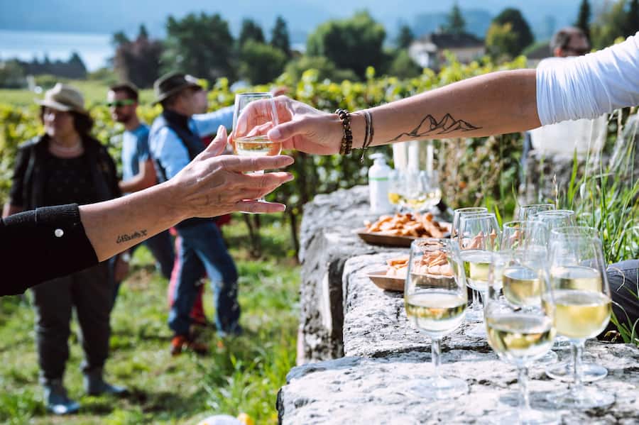 Von der Rebe bis zum Glas: Am Ende degustieren die Teilnehmenden die Weine des Betriebs.