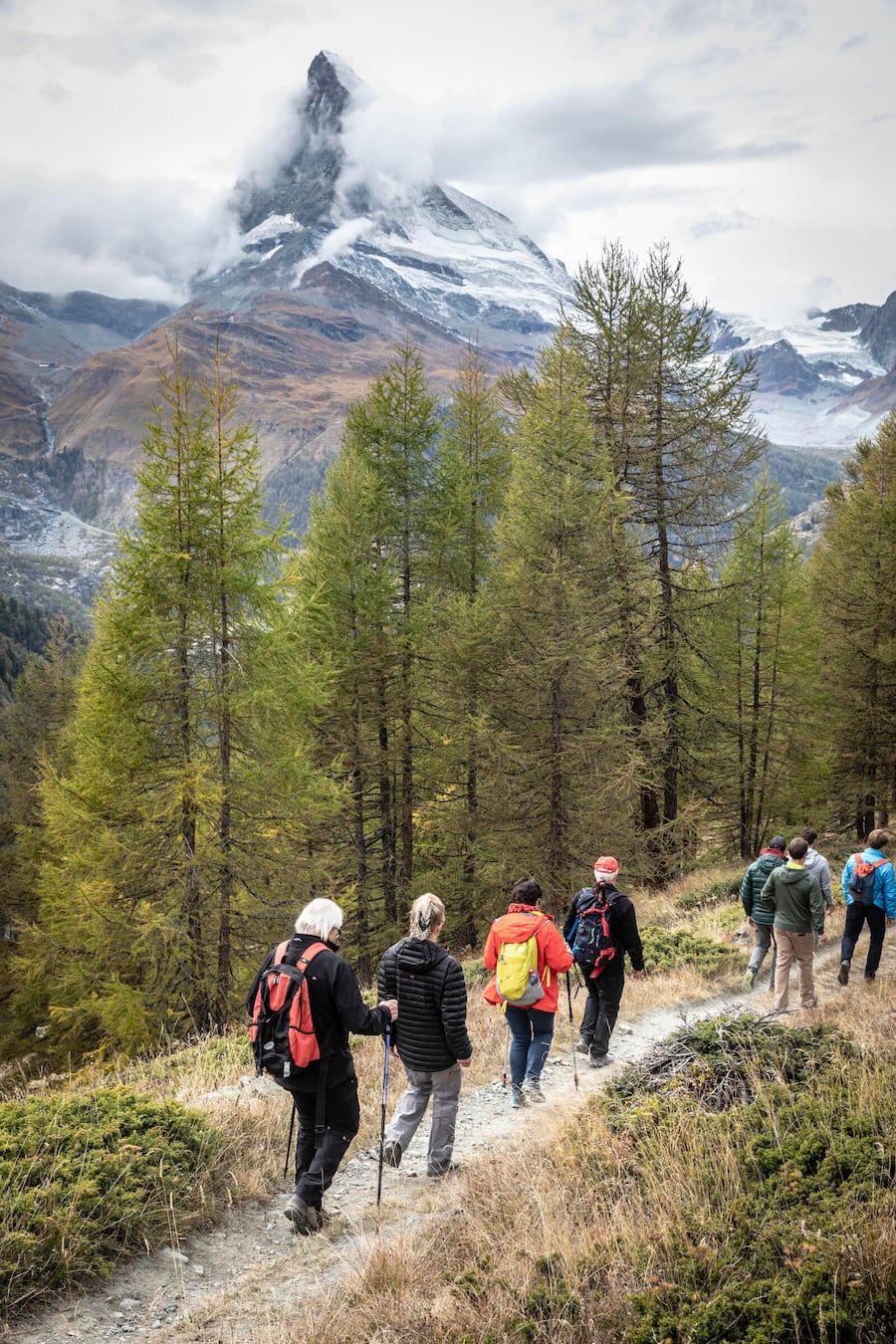 Wanderung Sunegga - Adler Hitta. Kulinarische Wanderung Horugüet in Zermatt. Foto: Bernard van Dierendonck