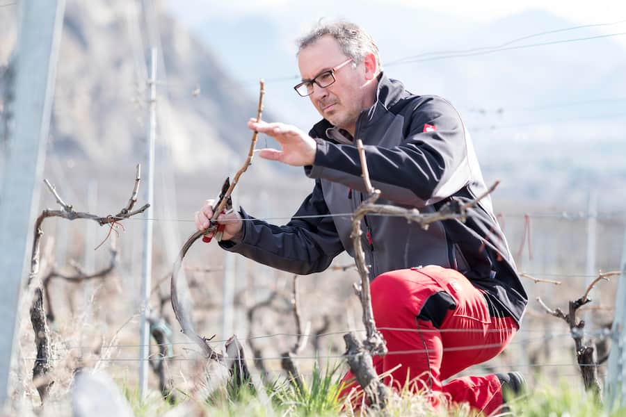 David Carruzzo, Domaine de la Rameau, Chamoson.