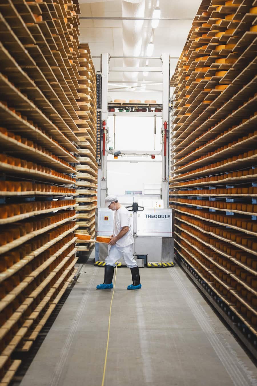 Ewald Schafer produziert in seiner Käserei den Mont Vully Käse