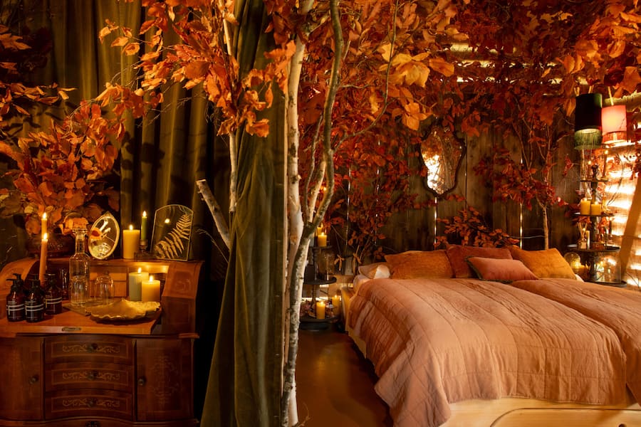 Gstaad Laubsafari Herbst, BEÂ