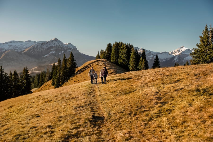Gstaad Laubsafari Herbst, BEÂ