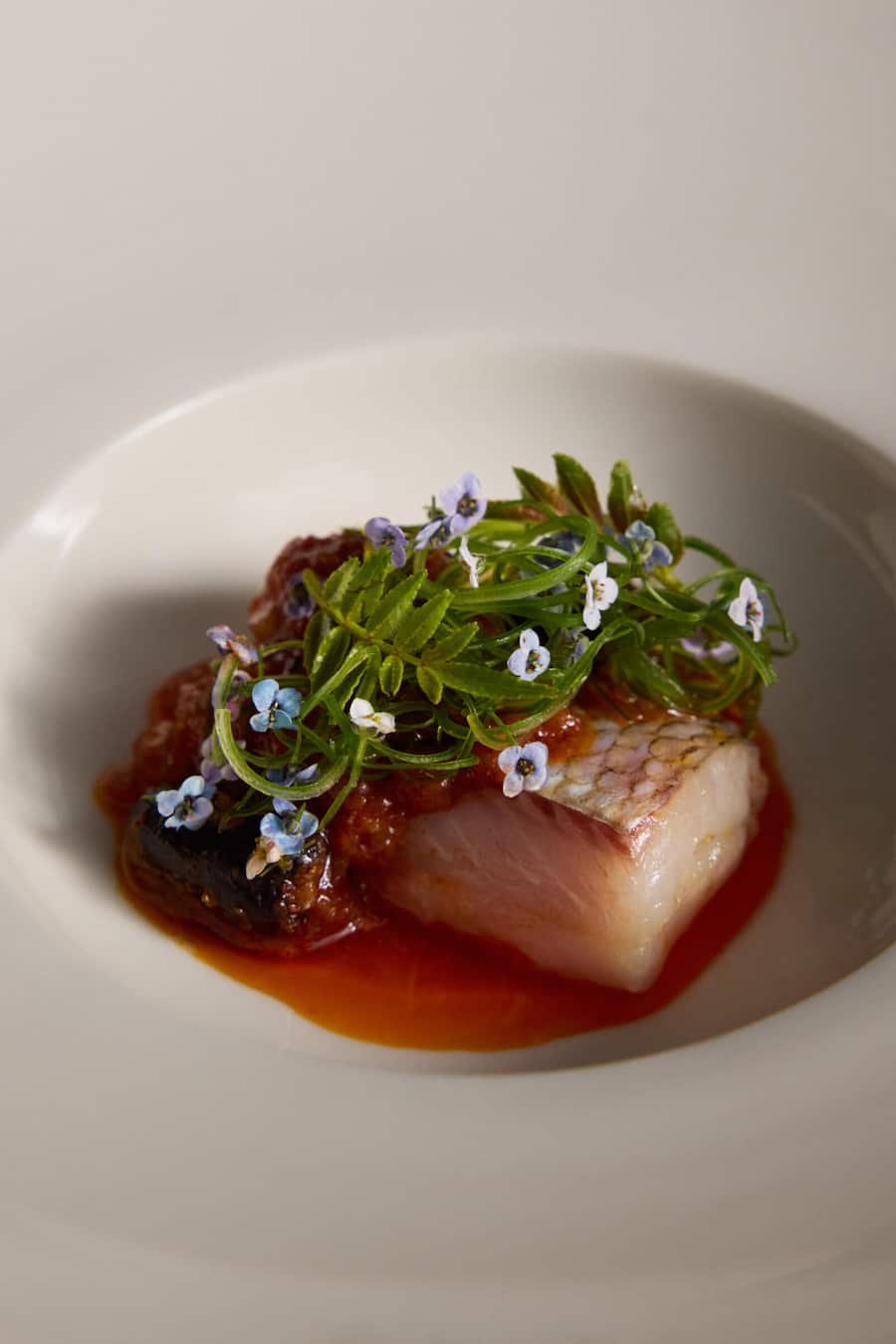 Whitefish from lake Zurich