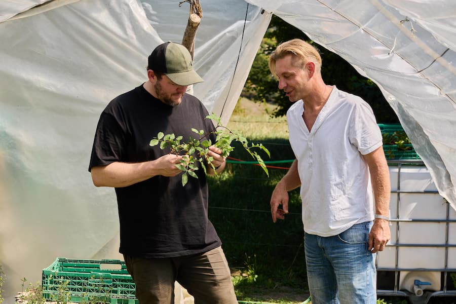Pascal Steffen und Simon Jordi (Tamaki.ch) im Polytunnel mit Pfeffer Strauch, Jordi's Garten am Laubenweg in 4450 Sissach