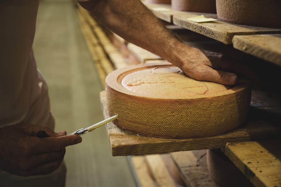 Ewald Schafer produziert in seiner Käserei den Mont Vully Käse