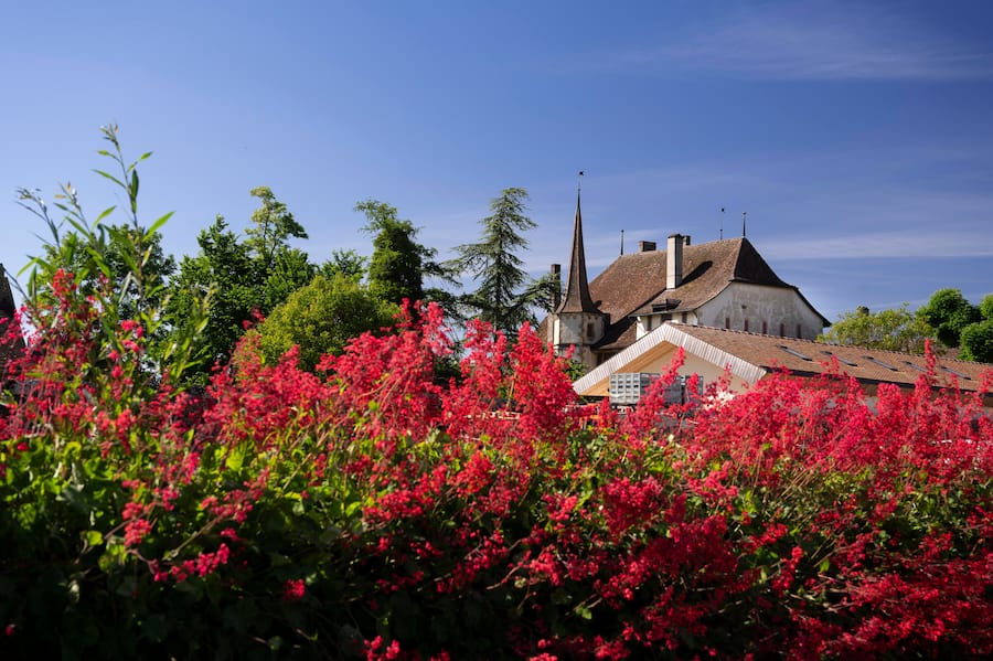 Thierry & Henry Aloys Grosjean, Château Auvernier, Auvernier.