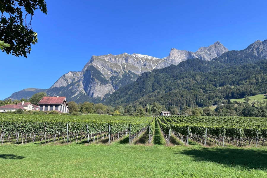 Weingut Pola.