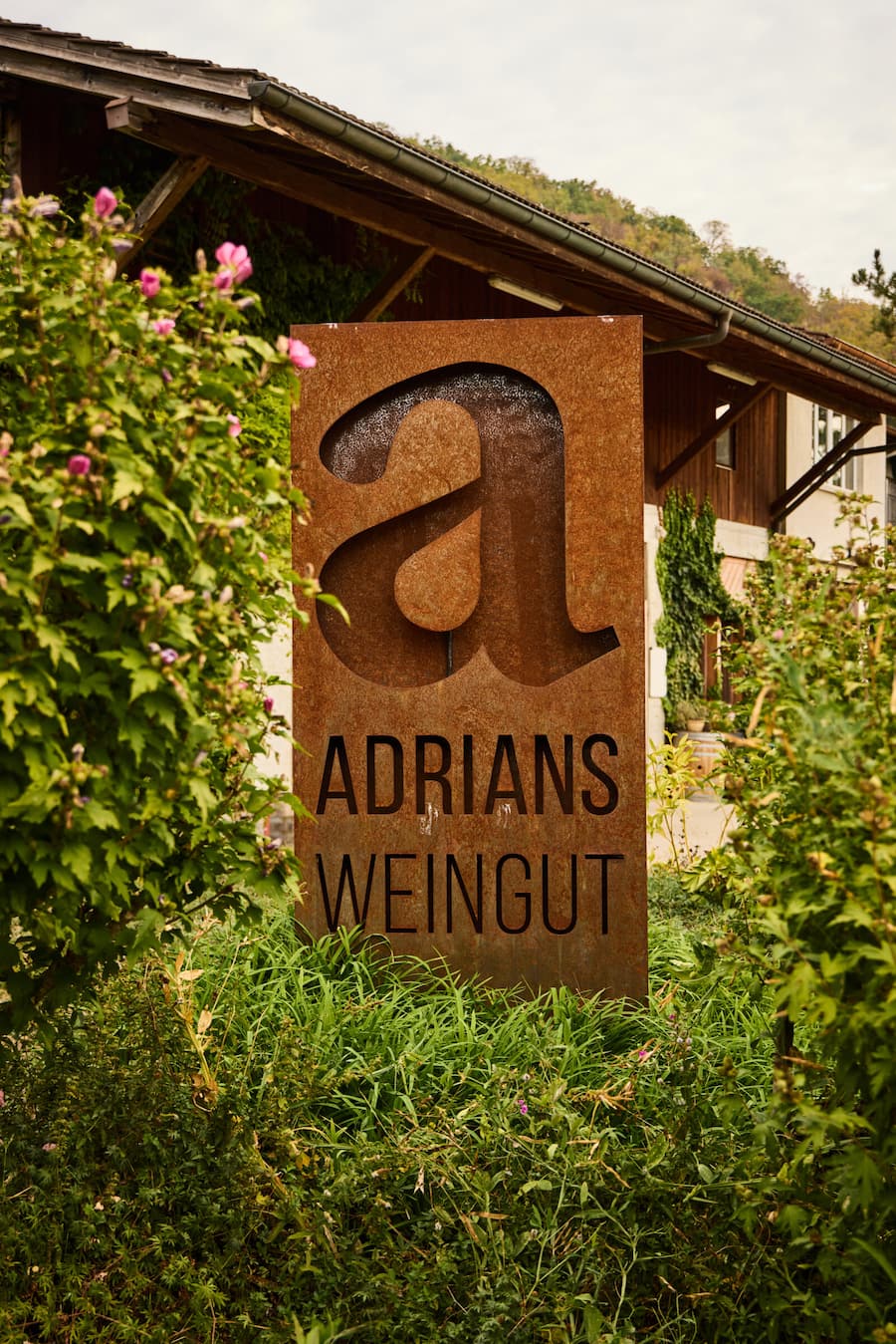 Das Gespräch fand in Adrians Weingut im aargauischen Oberflachs statt.