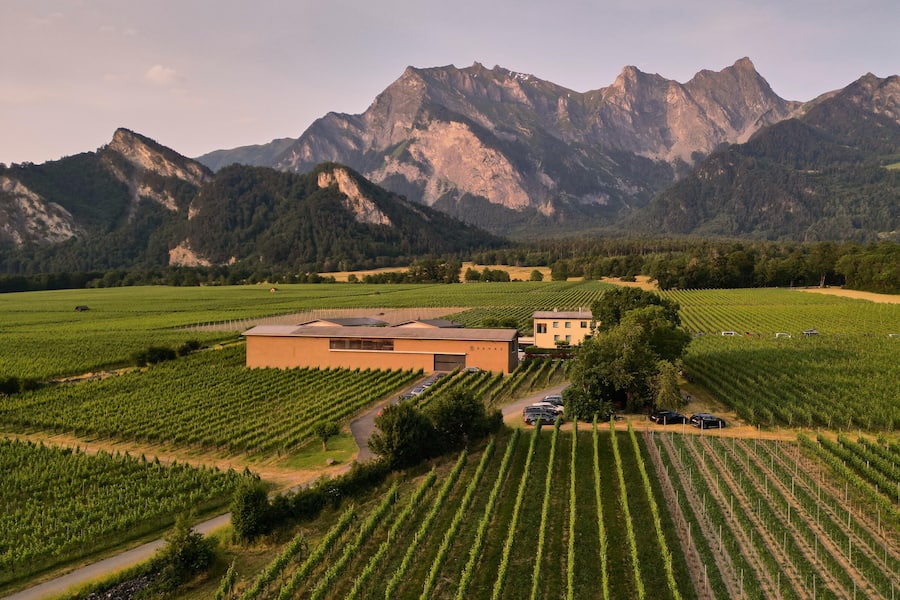 Familie Davaz, Weingut Davaz, Fläsch.