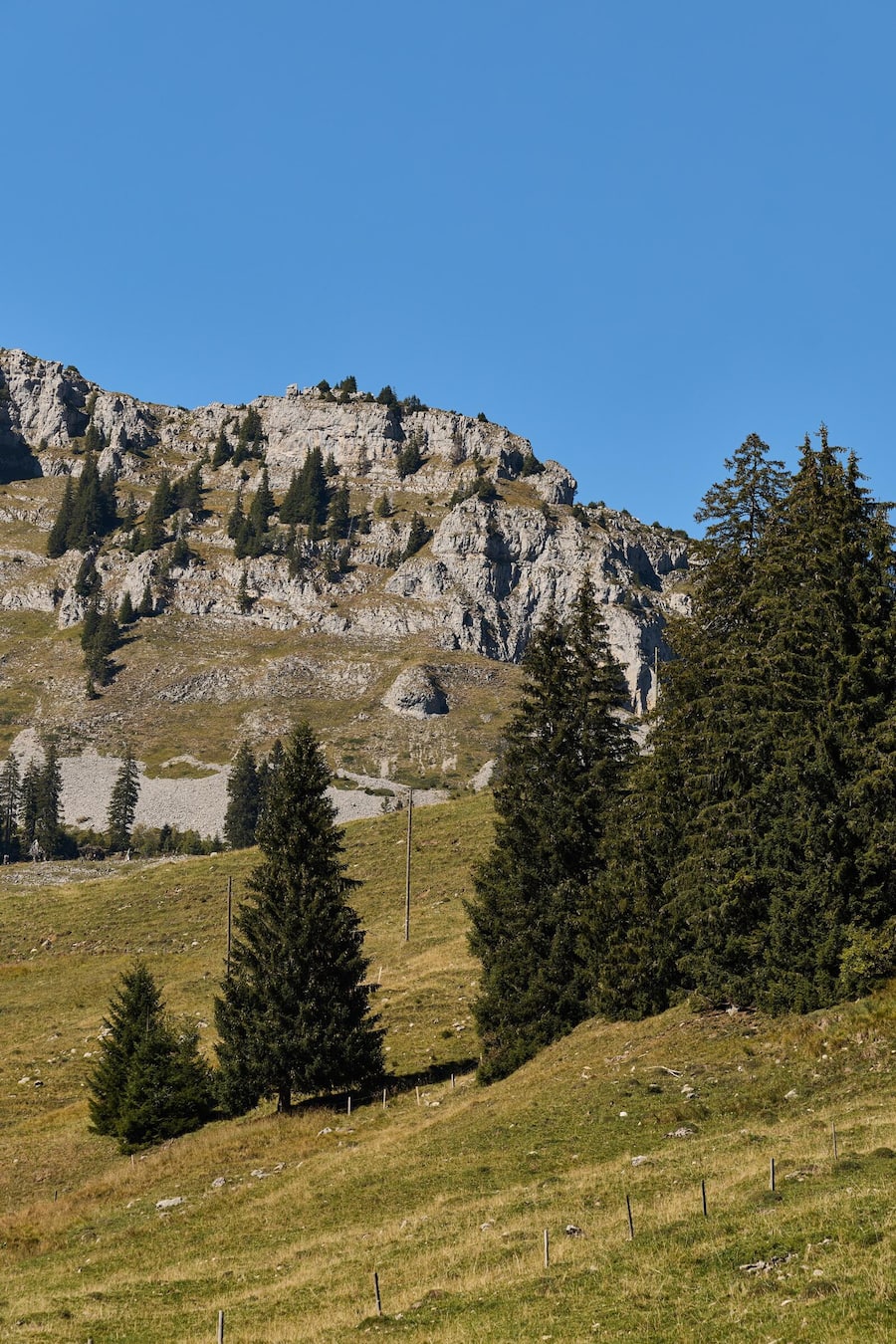 Hof Schneeberg, auch bekannt als Alp Schneeberg. Zu Besuch bei André Schmid. Schneeberg 2, 6174 Sörenberg/Spierbergli 6173 Flühli LU