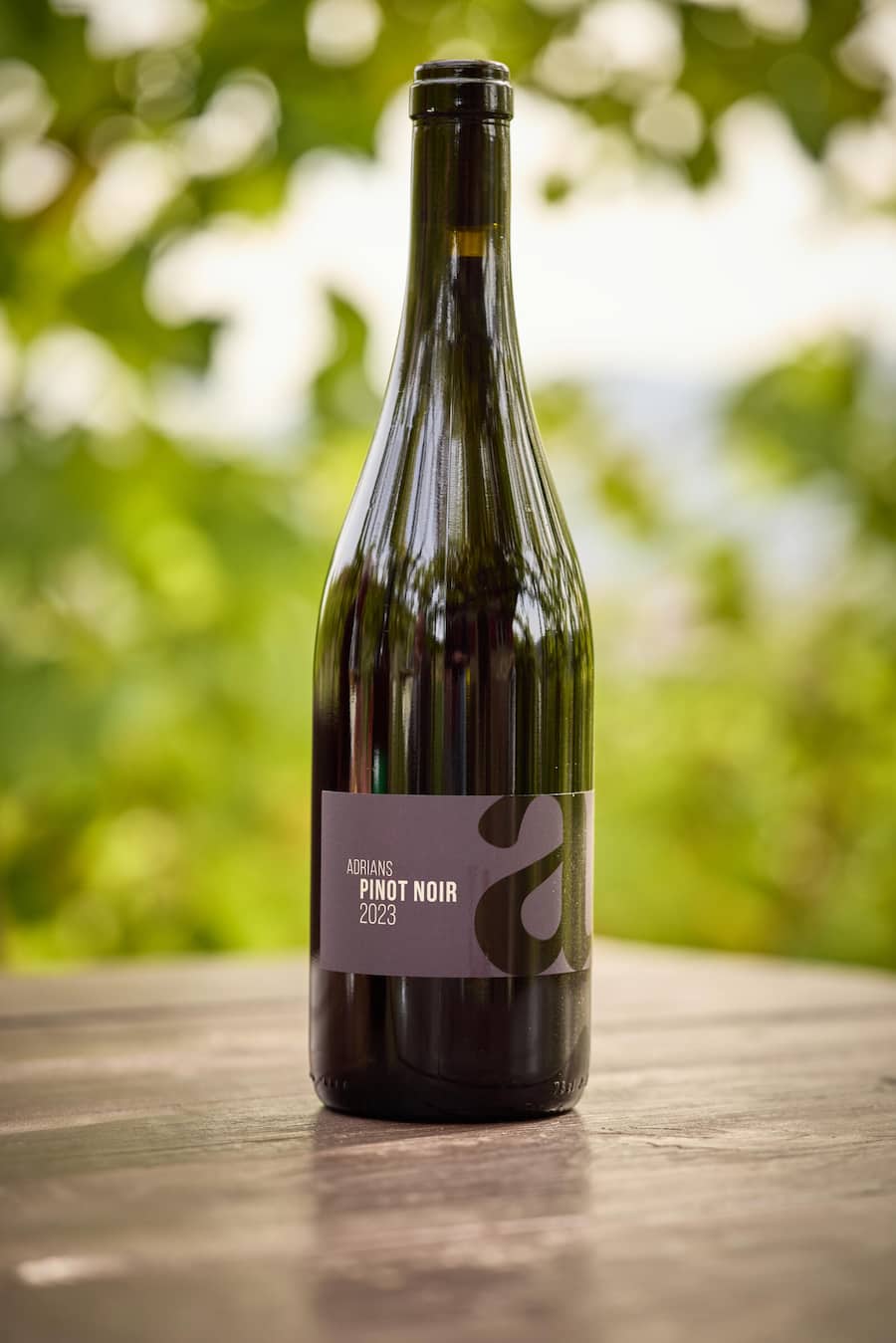 Vorzeige-Wein des Winzers ist definitiv der Pinot Noir «Réserve».