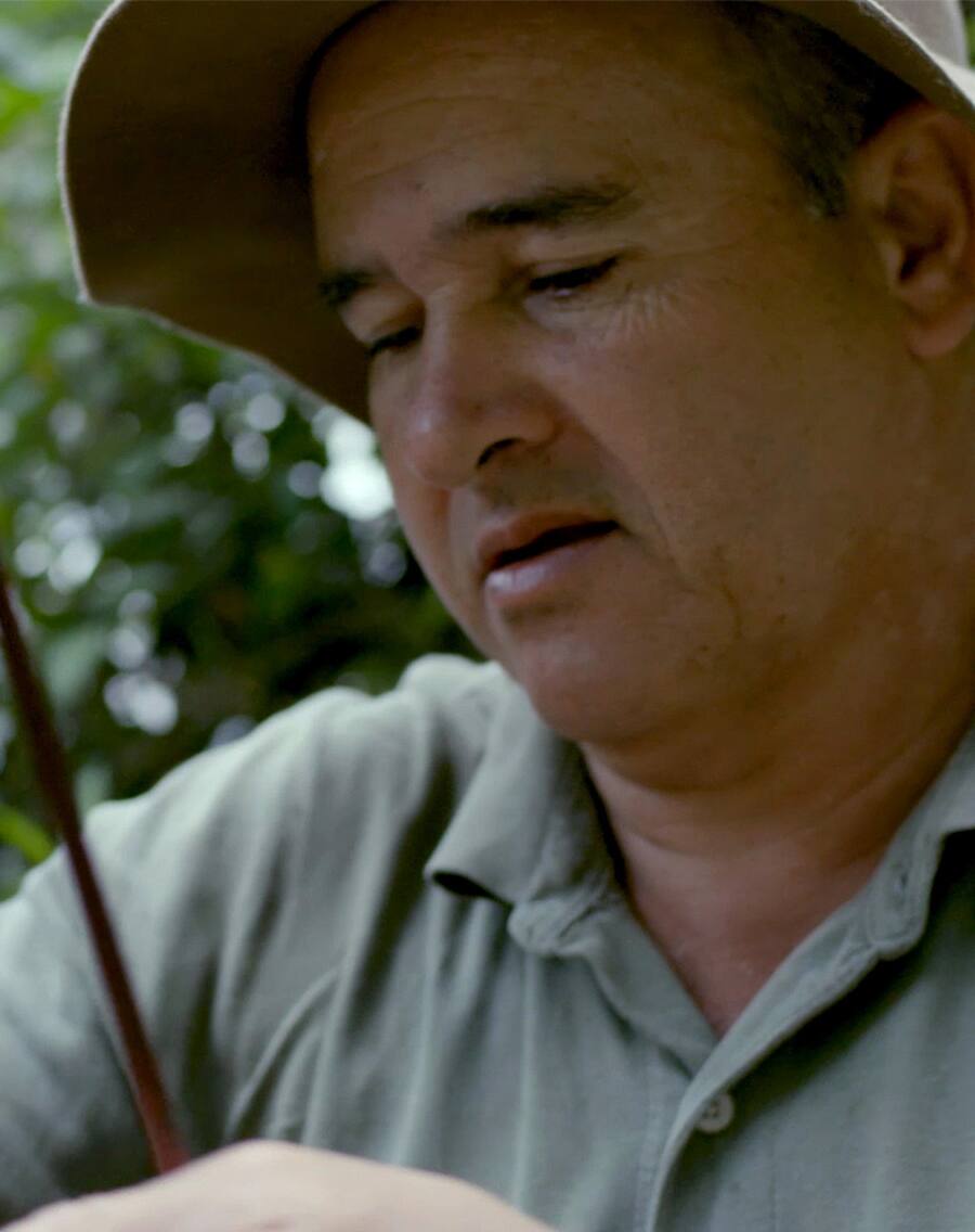 Nespresso Kapseln für Maschinen