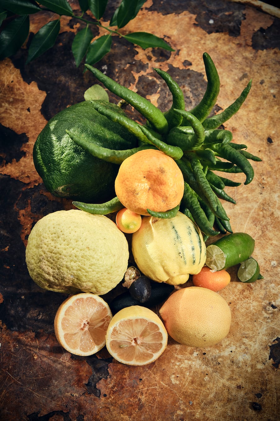 Divers agrumes produit dans les serres de Niels Rodin