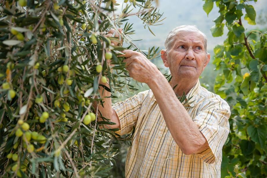 OLIXIR-HUILE-OLIVE-CAROUGE-GENEVE