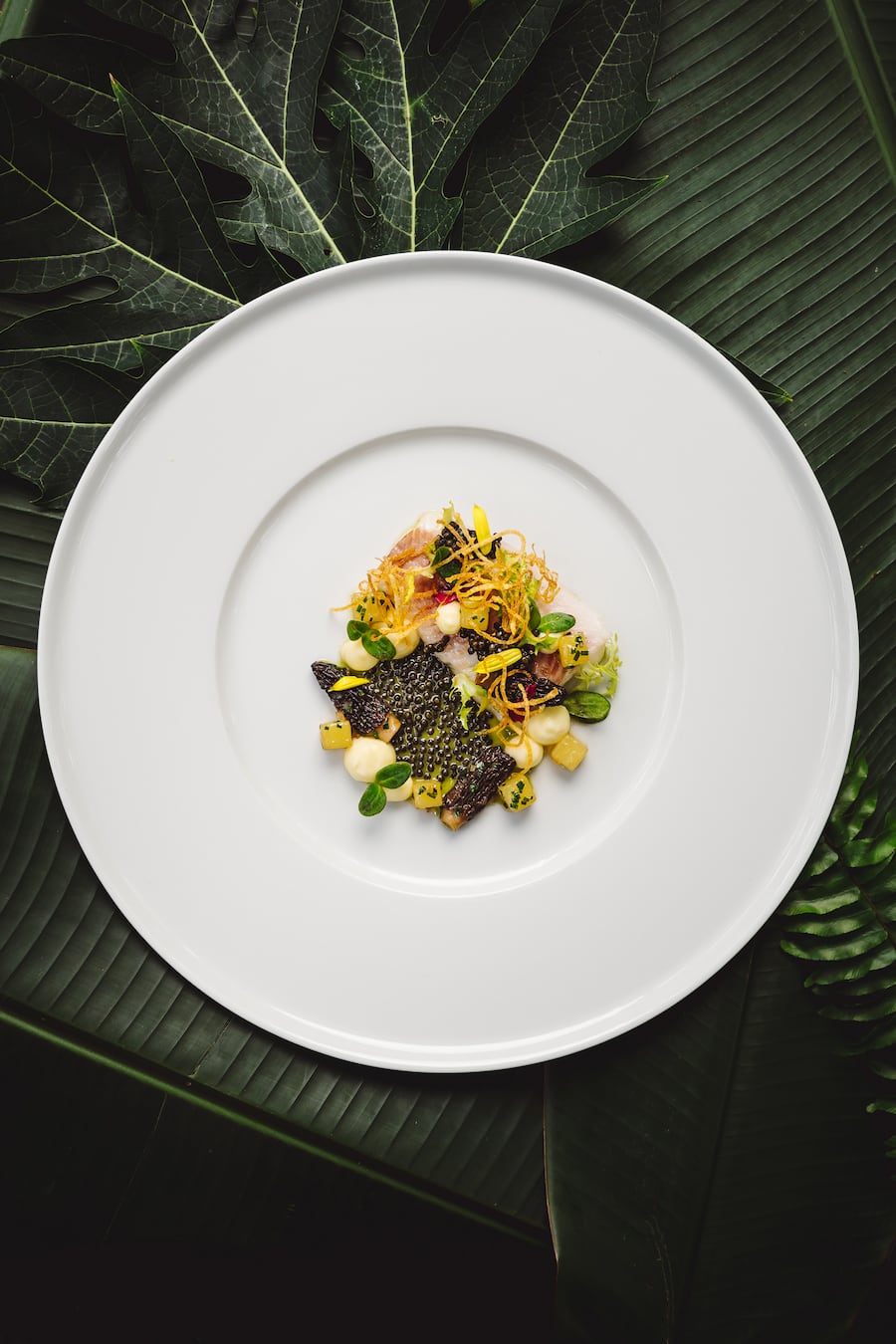 Osietra Carat: Felchenfilet I Kartoffel I Morchel I Bärlauch - Tropenhaus Frutigen - Chefkoch Sascha Behrendt - 12. März 2021 - Copyright Olivia Pulver