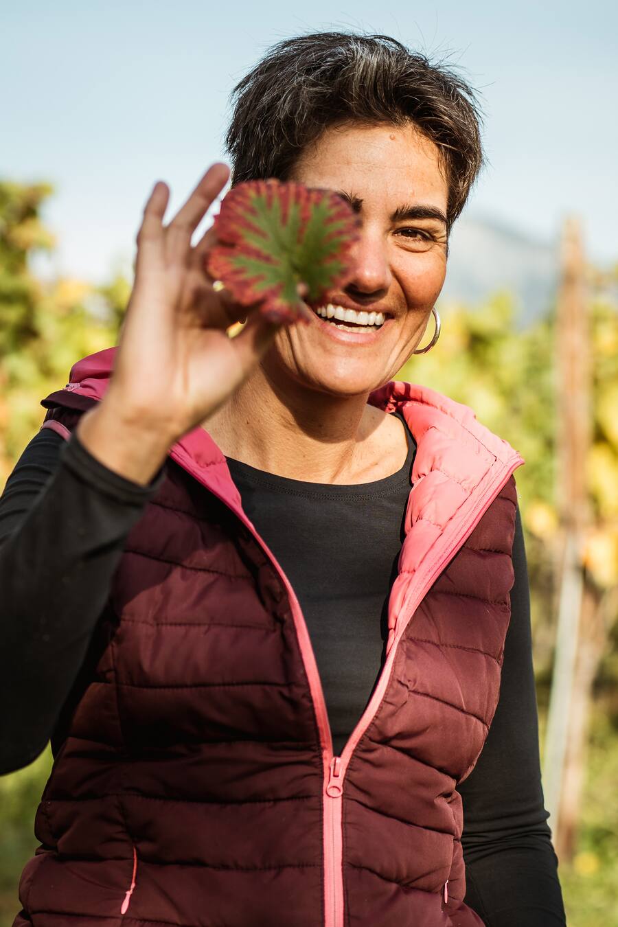 Carina Lipp Weingut und Destillerie Maienfeld