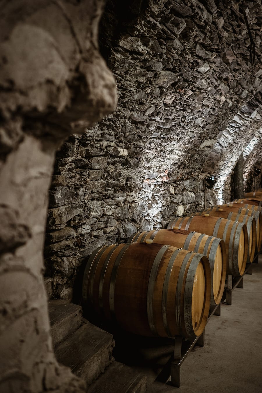 Carina Lipp Weingut und Destillerie Maienfeld