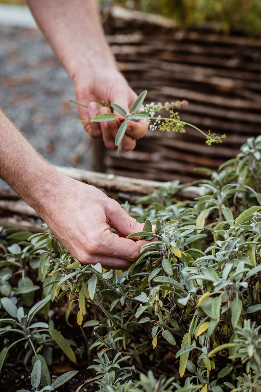 Restaurant Taggenberg Winterthur