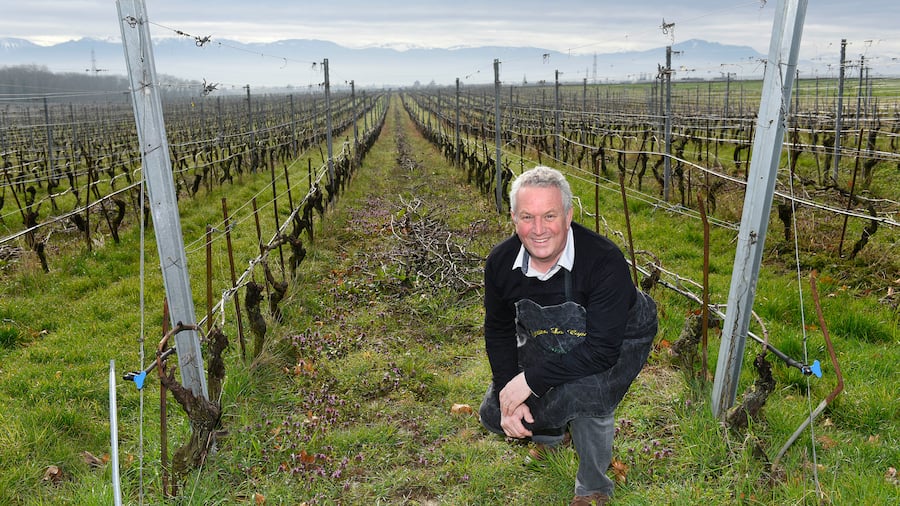 Parmelin vignes