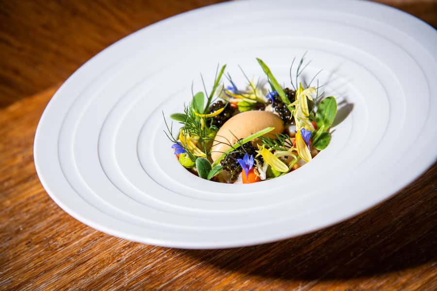 Patrick Mahler 2020: Chawanmushi, Jakobsmuschel, Shitkaecreme, Jakobsmuschel-Kalbsveloute