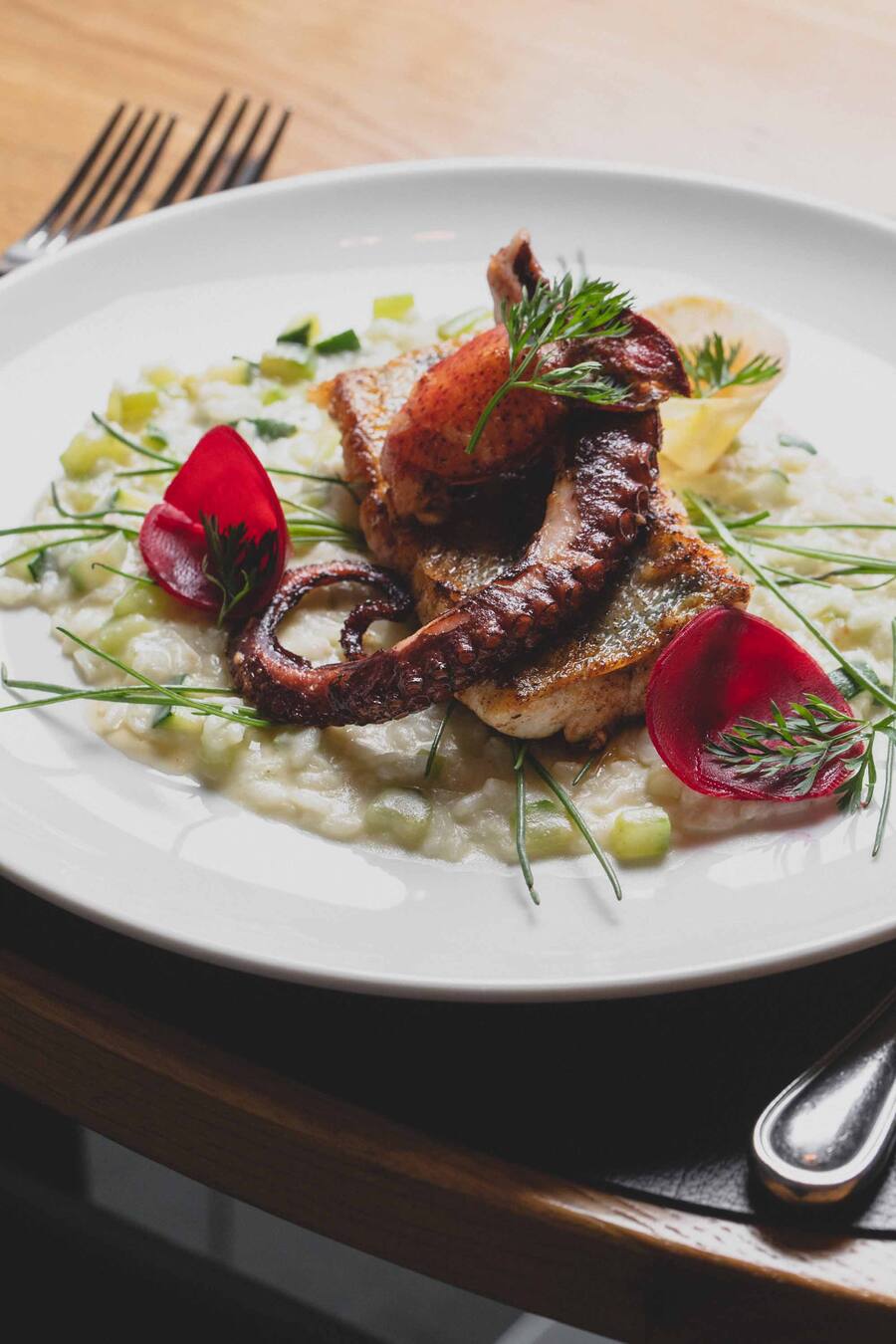Pulpo,Loup de Mer und Hummer