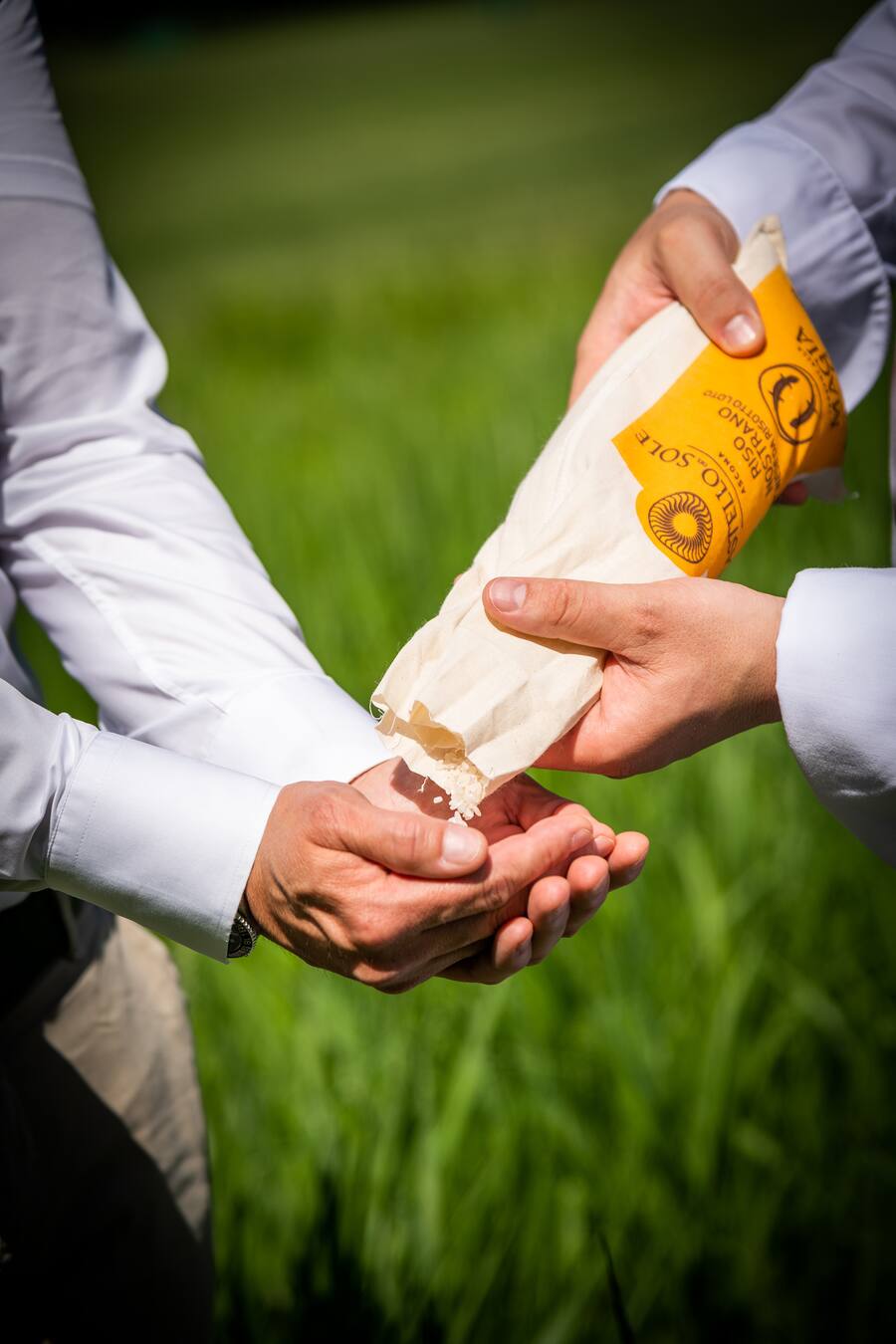 Reis Castello del Sole