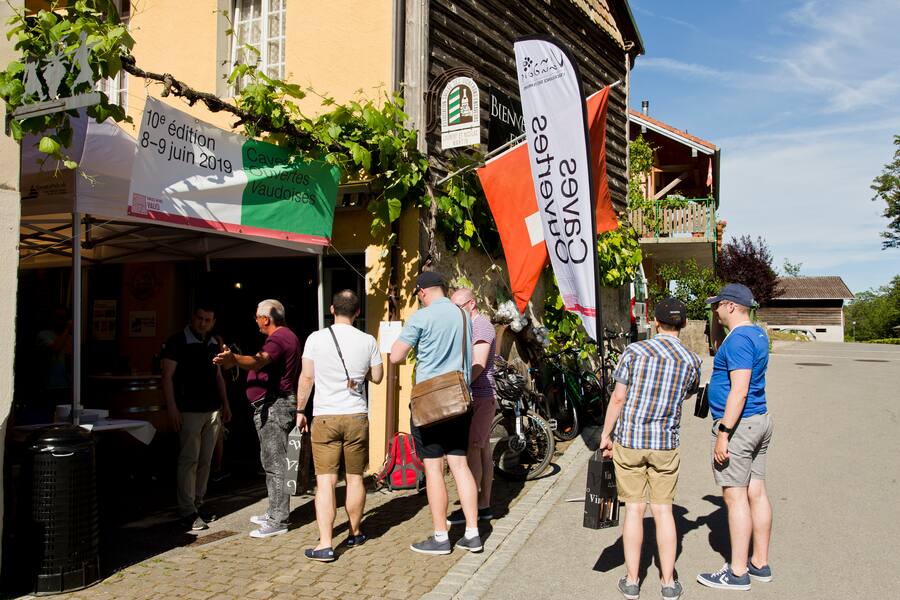 Report Caves Ouvertes