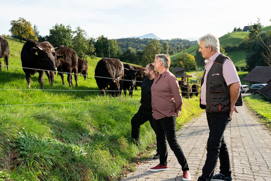 Restaurant Frohsinn Wagyu Beef, Rinderherde auf der Weide in Dierikon im Götzental, Peter Hunkeler (r), Bauer; Philipp Röthlin (m), Inhaber Rest Frohsinn, Clemens Pfister (l), Küchenchef