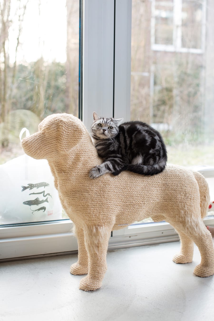 Richard Kaegi Globus