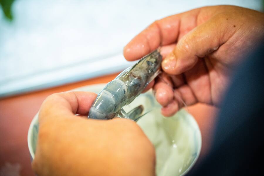 Sala of Tokyo 2021 Shrimps