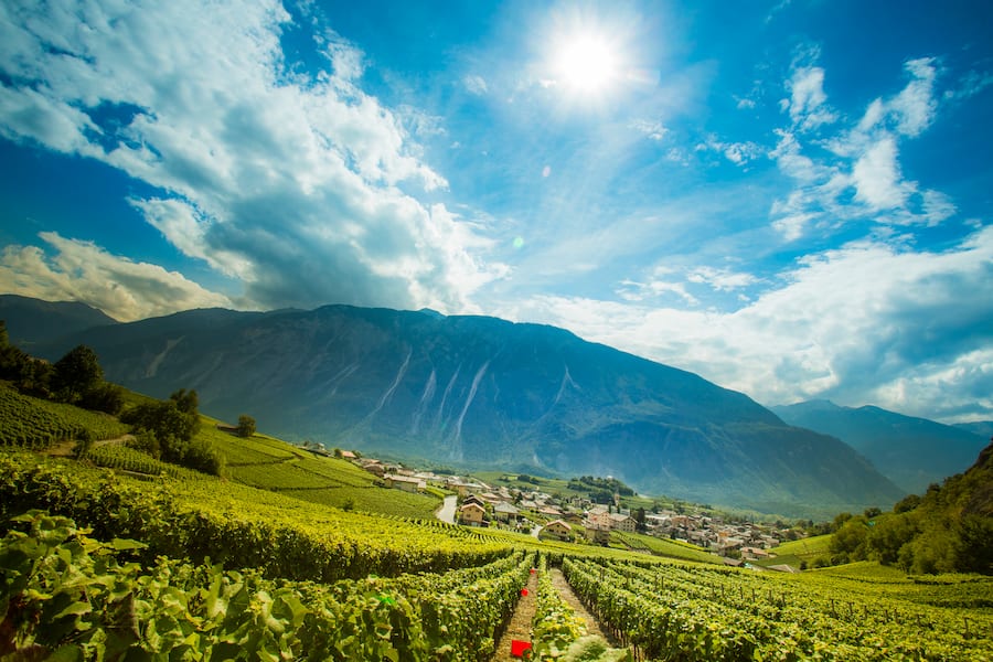 Salgesch ! Hier profitieren die Reben von « Joseph Glenz und Töchter » von der Walliser Sonne
