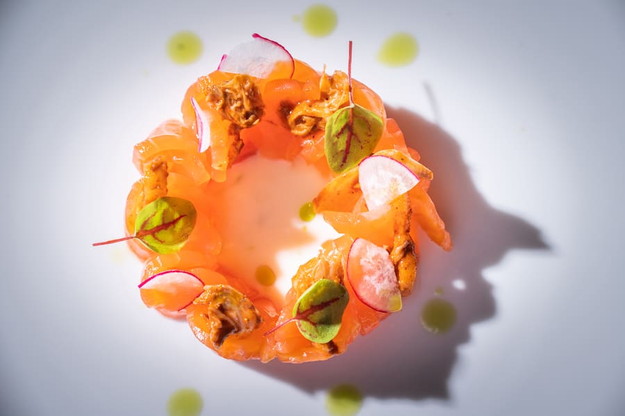 Salmone Svizzero leggeremente marinato, cavolo fermentati picante, Bergamotto