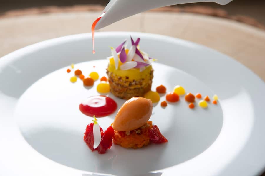 Sanddorn Mousse / Karotten Kompott / Karotten Kuchen / Orangengel / Sanddorngel / Karottenpüree / Karotten Sorbet / Blutorangen Sud