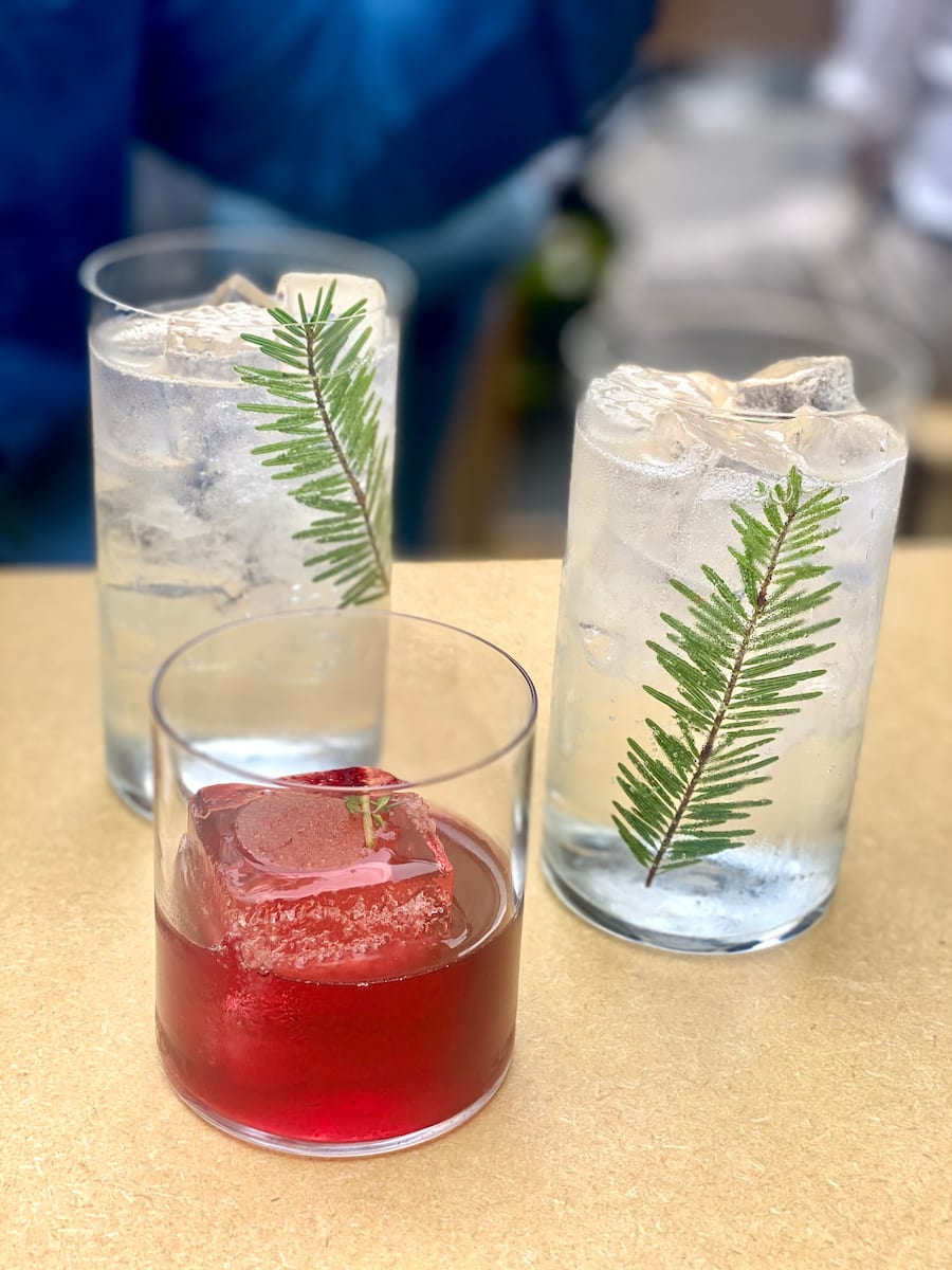 SAUVAGE-BAR-GENEVE-EAUX-VIVES-GAULTMILLAU-CHANNEL