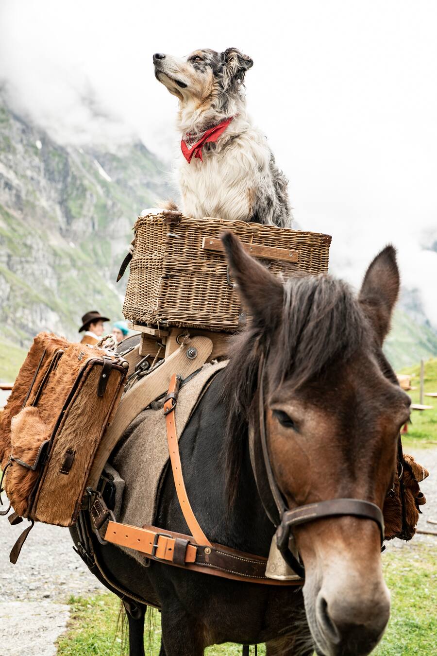 Säumer auf der Sbrinzroute von Wolfenschiessen nach Domodossola, auf Alp Trübsee