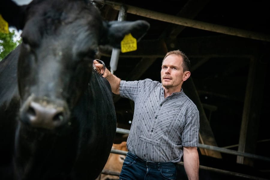 Appenzell-Roadtrip 2021: Kabier-Rinder, Sepp Dähler, Stein AR