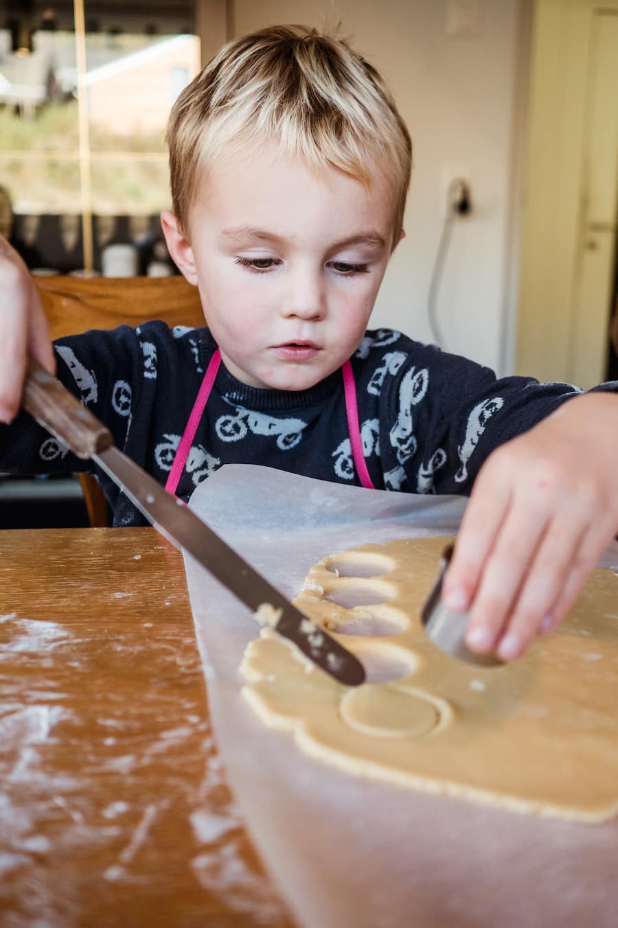 Silvia Manser Truube Gais