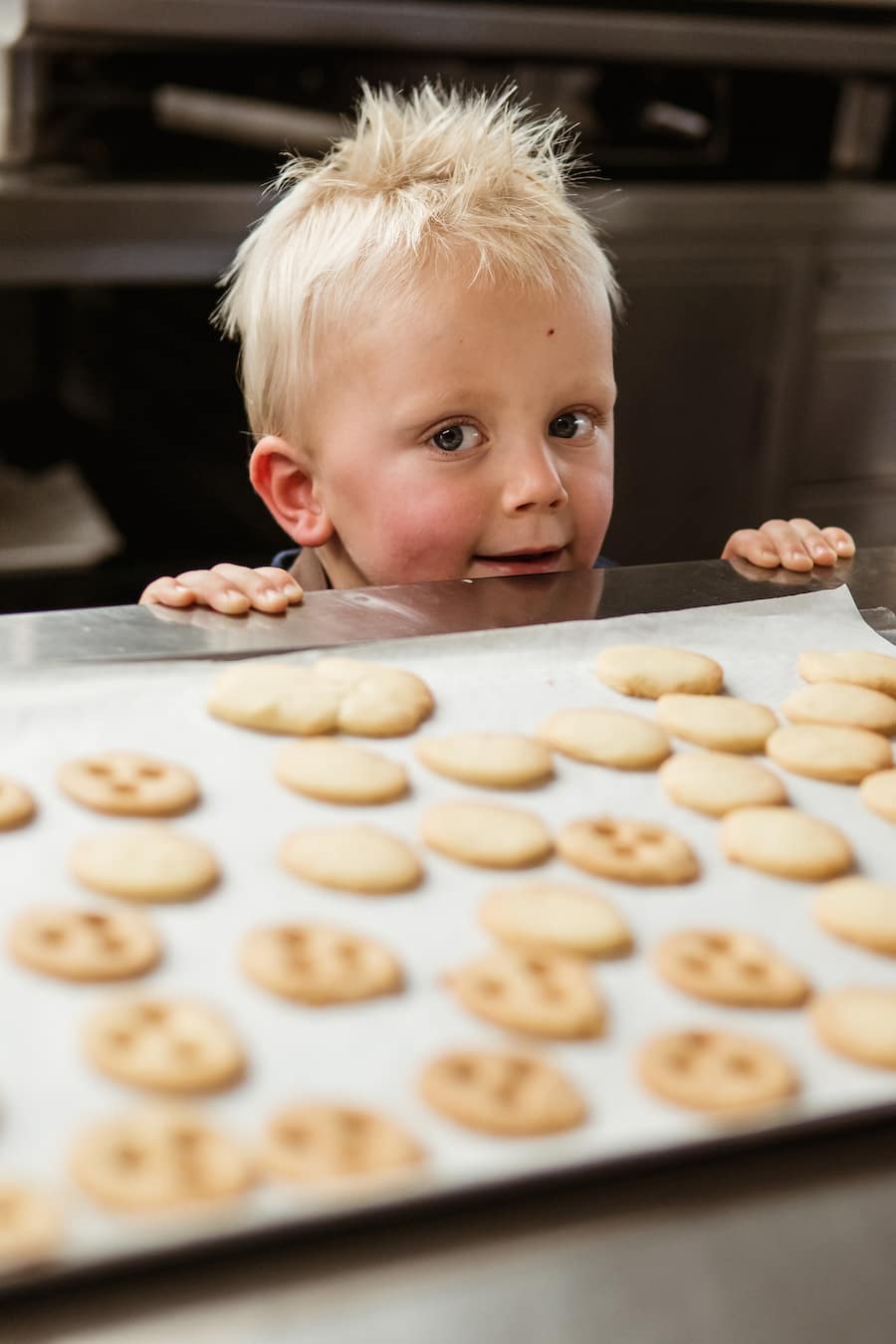 Silvia Manser Truube Gais