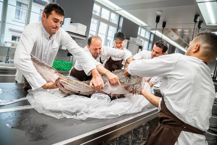 Stefan Jäckel Heilbutt Küche