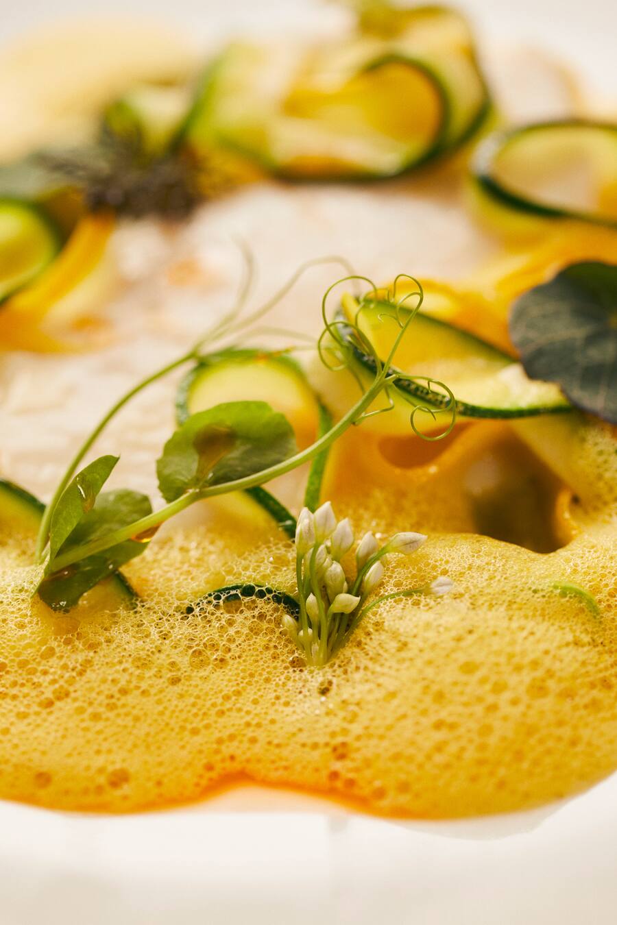 Bretonischer Steinbutt (Zuchetti, Sanfran mit Krustentieröl) von Wilson Krasnic, Restaurant Musigny, Zürich, 19.02.2019, Foto Lucia Hunziker